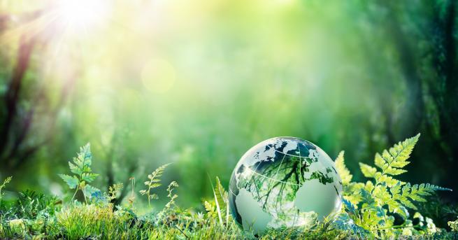 България Състоянието на околната среда у нас се подобрява Отношението