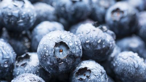  <p>Украински граничари заловиха 40 кг боровинки от Чернобил</p> 