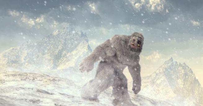 Алпинисти от индийската армия твърдят че по време на експедиция