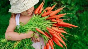 Моркови дете