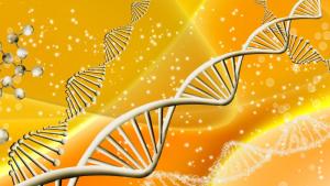 ДНК гени