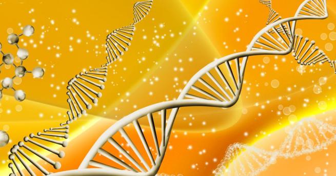 До 2050 г родителите ще могат да си купуват конструирана