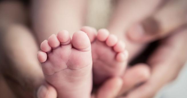 Правителството планира раждането на над 66 хиляди бебета през 2019