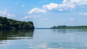 Издирват във водите на Дунава 15 годишно момче Тийнейджърът скочил късно