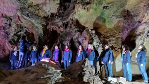 концерт в Леденика