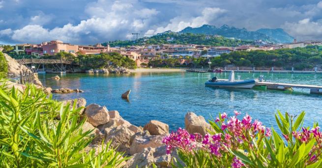 Нашествие на милиони скакалци в центъра на италианския остров Сардиния