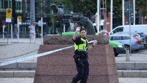 Шведската полиция съобщи че по време на ежегоден културен фестивал