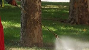 Благоевград