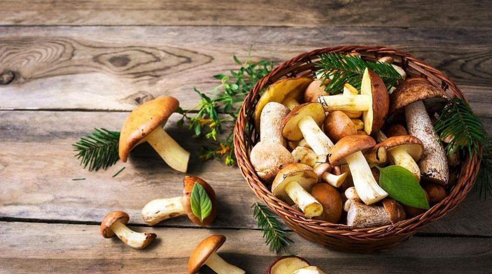 Кои хора трябва да внимават с яденето на гъби