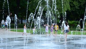 фонтан видин