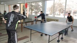 тенис на маса