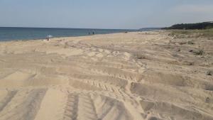 В РИОСВ Бургас е получен сигнал за нарушаване на дюнни образувания на
