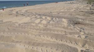 Неизвестни лица са унищожили част от екзотичните дюни на Южния