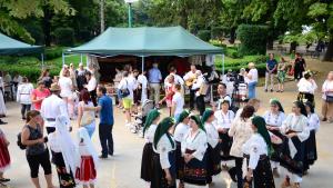 Фестивал Видин