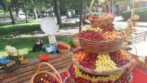 Кюстендил