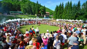 Събор Леденика