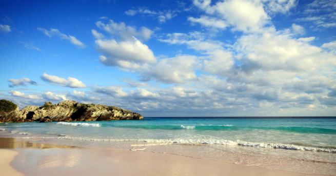 Температурата на световните океани през 2019 г е била най високата