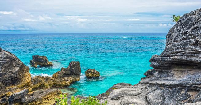 Приемането на нови технологични решения и по добро управление може да