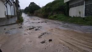 Стрелча порои