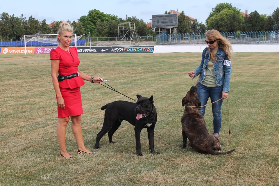 Расови кучета от Европа и Русия показват в Каварна