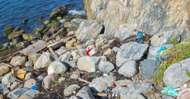 Учени идентифицираха нов вид замърсяване с пластмаса в морето