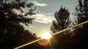 Международен ден за борба с наркотиците