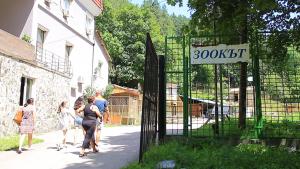 зоокът ремонт
