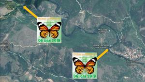 Изложба от снимки на найк расивите пепруди