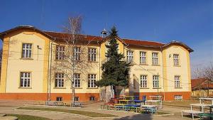 Паталеница