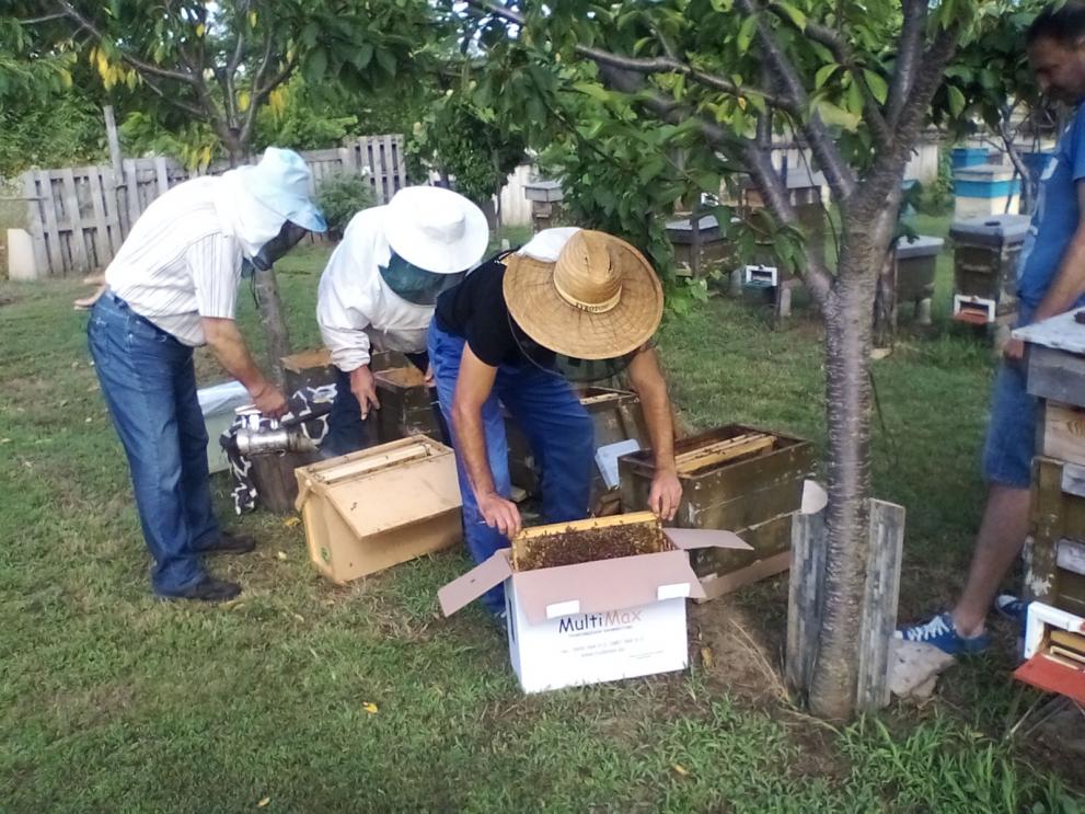 Пчелари помагат на пчелари с пчели