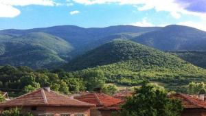 Црънча полигон