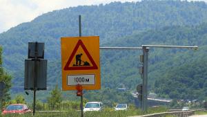 Хемус ремонти