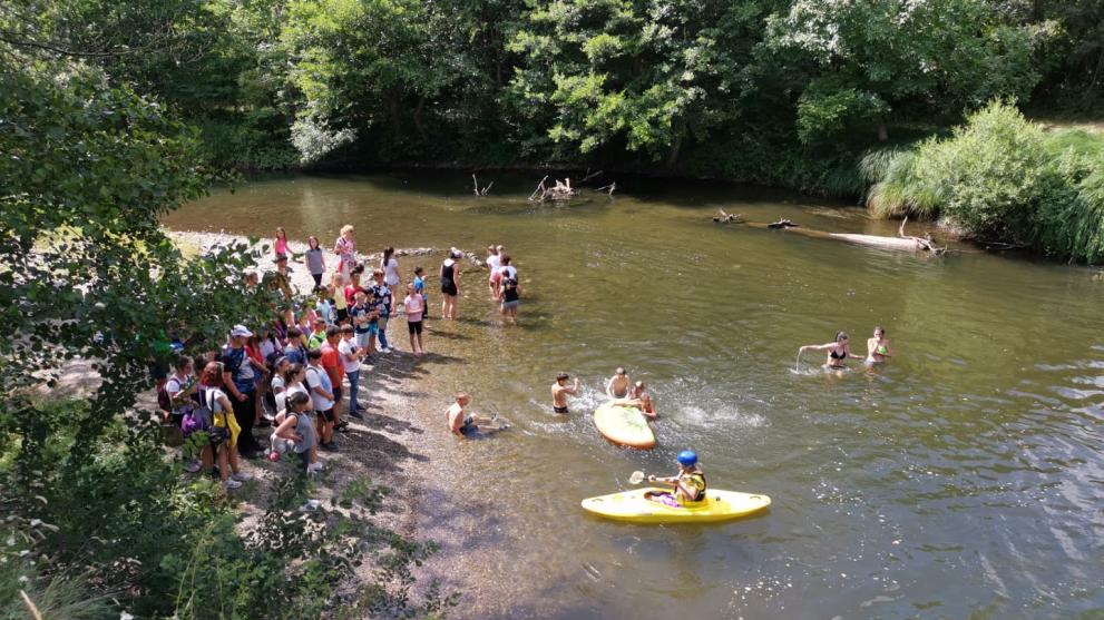 Празника на пеперудата