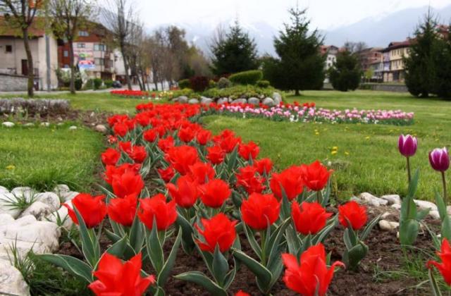 Избират най-красивите градини и тераси в Банско