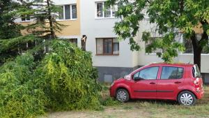 Буря и пороен дъжд пречупи дървета и нанесе щети в