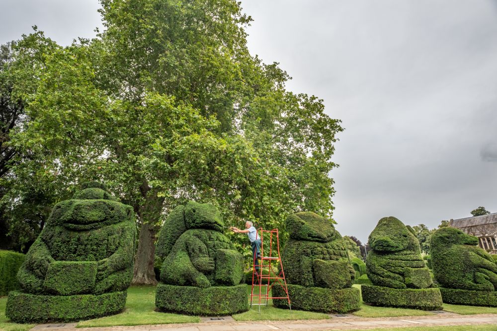 Главният градинар на Hall Place and Gardens в Бексли Крис Райли се пенсионира преди 5 години, но се връща веднъж годишно като доброволец, за да подстригва известните кралски топиари, засадени през 1953 г. По този начин той отбелязва годишнината от коронацията на кралица Елизабет II.