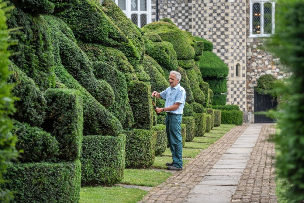 Главният градинар на Hall Place and Gardens в Бексли Крис Райли се пенсионира преди 5 години, но се връща веднъж годишно като доброволец, за да подстригва известните кралски топиари, засадени през 1953 г. По този начин той отбелязва годишнината от коронацията на кралица Елизабет II.