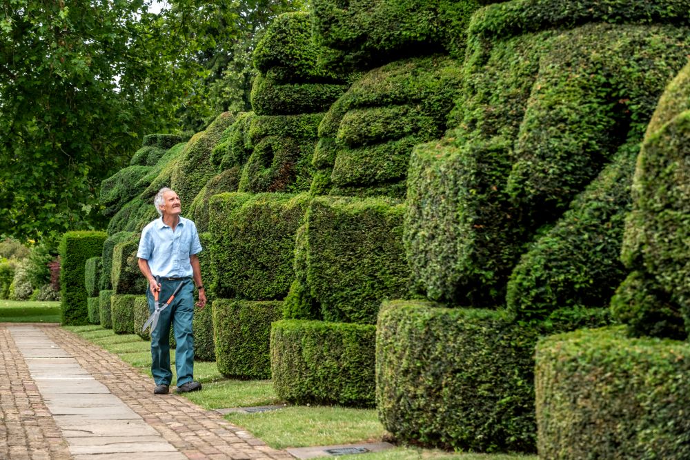 Главният градинар на Hall Place and Gardens в Бексли Крис Райли се пенсионира преди 5 години, но се връща веднъж годишно като доброволец, за да подстригва известните кралски топиари, засадени през 1953 г. По този начин той отбелязва годишнината от коронацията на кралица Елизабет II.