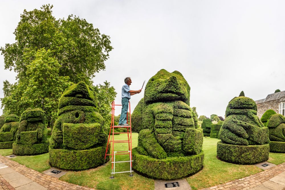 Главният градинар на Hall Place and Gardens в Бексли Крис Райли се пенсионира преди 5 години, но се връща веднъж годишно като доброволец, за да подстригва известните кралски топиари, засадени през 1953 г. По този начин той отбелязва годишнината от коронацията на кралица Елизабет II.