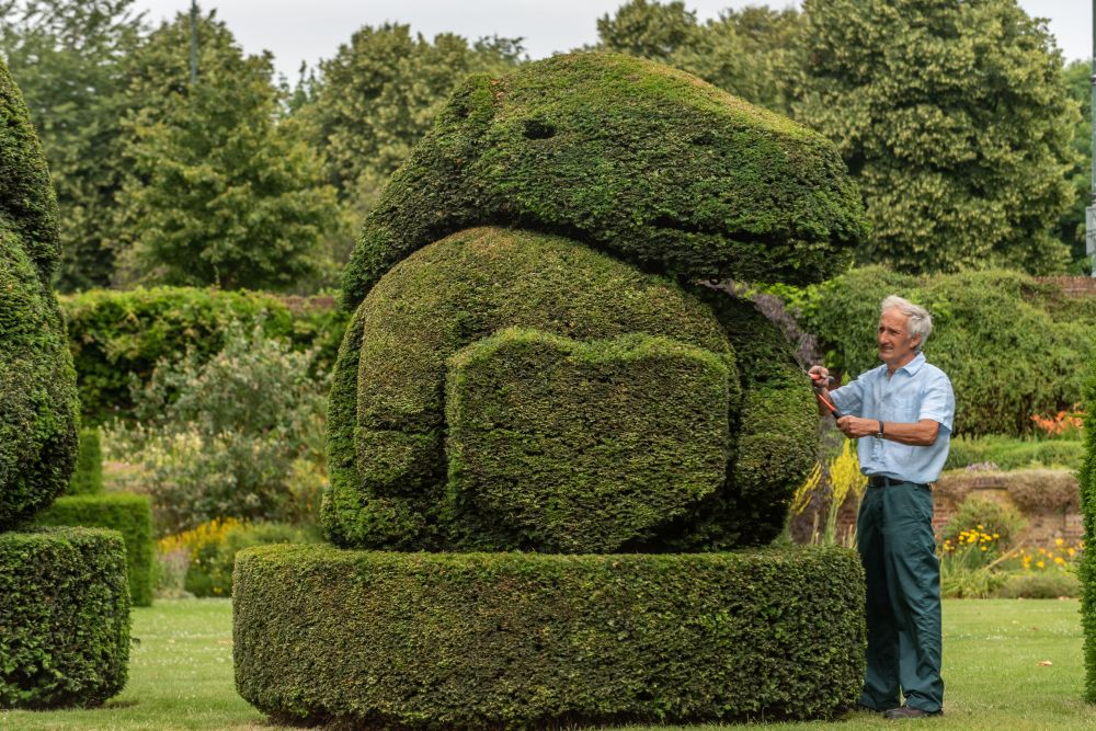 Главният градинар на Hall Place and Gardens в Бексли Крис Райли се пенсионира преди 5 години, но се връща веднъж годишно като доброволец, за да подстригва известните кралски топиари, засадени през 1953 г. По този начин той отбелязва годишнината от коронацията на кралица Елизабет II.