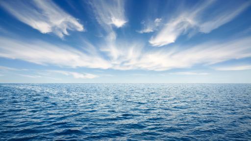  Световните океани бързо губят кислорода си 