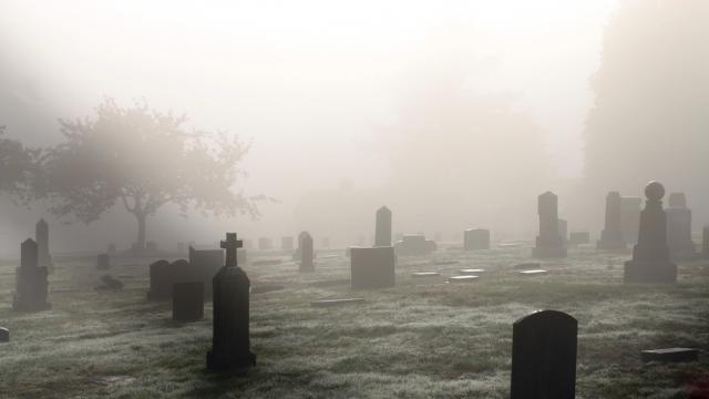 Рядко и мистериозно средновековно гробище озадачи археолозите