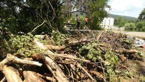 почистване Бедечка