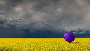 прогноза за времето