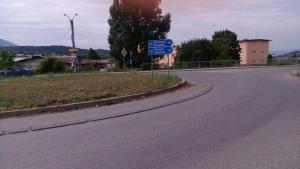 изсъхнали и опасни тополи