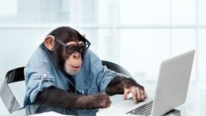 Почина шимпанзето Ай, което разпознаваше повече от 100 китайски йероглифа