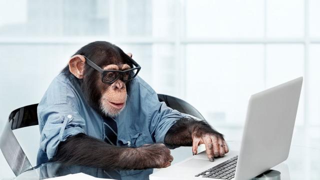 Почина шимпанзето Ай, което разпознаваше повече от 100 китайски йероглифа