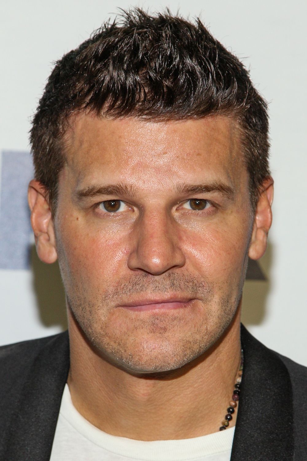 Дейвид Бореанас е в ролята на Сийли Буут - специален агент на ФБР