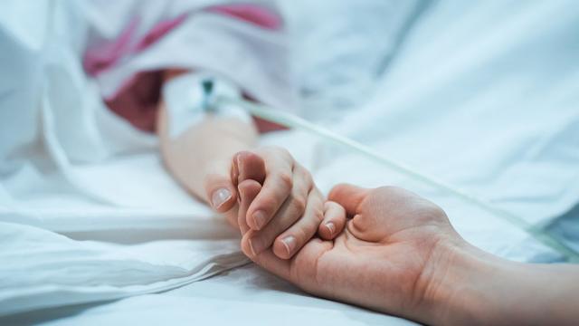 Използването на бактерия срещу денга дава обещаващи резултати