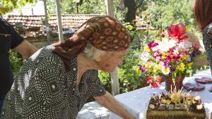 столетница